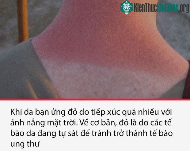 Top 15 sự thật thú vị nhưng vô cùng ám ảnh, thể hiện một góc khác của thực tại chúng ta sống ảnh 2