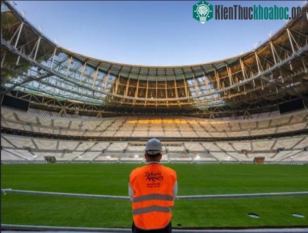 SVĐ tổ chức lễ khai mạc World Cup 2022 do công ty Việt Nam xây dựng: Đẹp tựa như kì quan thế giới mới ảnh 2