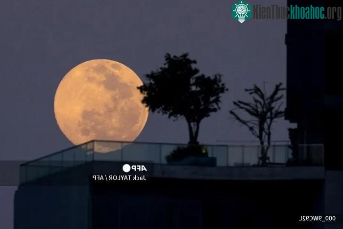 Mãn nhãn với hình ảnh "Trăng Sói" - Kỳ trăng đầu tiên của năm 2022 ảnh 2