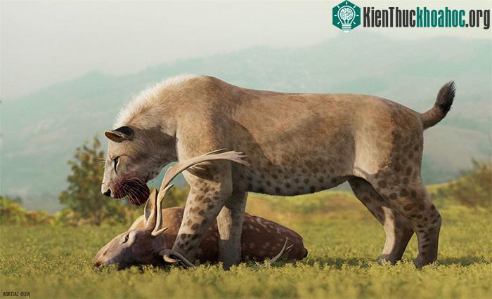 Homotherium