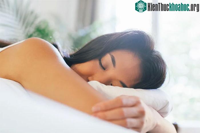 Ngủ thuê được xem là việc nhẹ lương cao, nhiều người yêu thích.