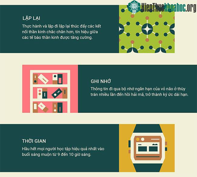Làm thế nào để bộ não hình thành một thói quen mới? ảnh 2