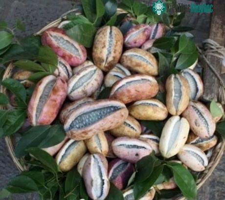 Dưa bát nguyệt là loại quả rất giàu vitamin, axit amin.