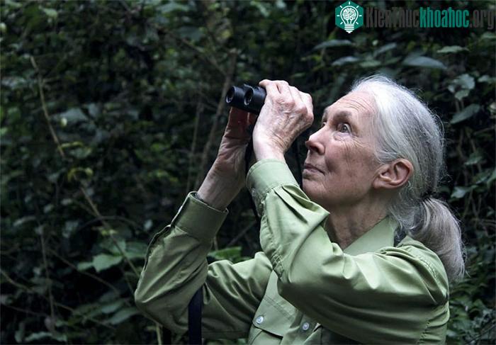 Jean Goodall