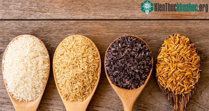 Cách để món ăn ngon hơn là bạn phải ngâm gạo thô qua đêm trước