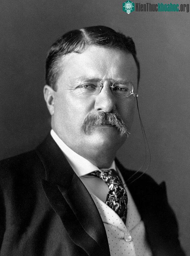 Theodore Roosevelt