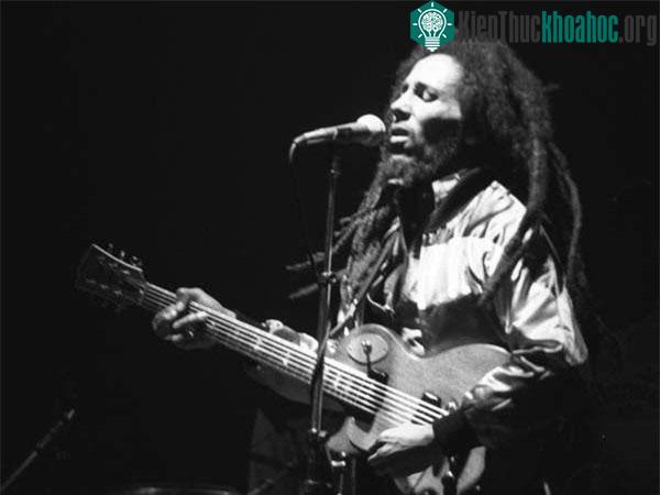 Nhạc sĩ Bob Marley