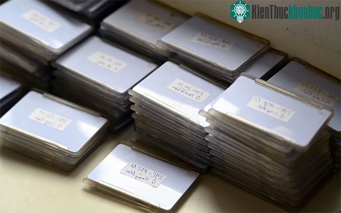 Nhà máy điện rác Sóc Sơn đã sẵn sàng hoạt động ảnh 3
