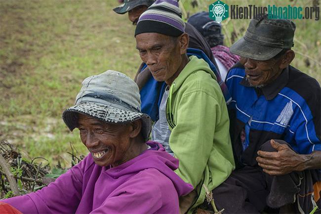 Những sự thật thú vị tại lễ hội đua bò Indonesia ảnh 4
