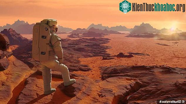 &nbsp;Thay vì đi một mình, SpaceX nên dẫn đầu và hợp tác với NASA