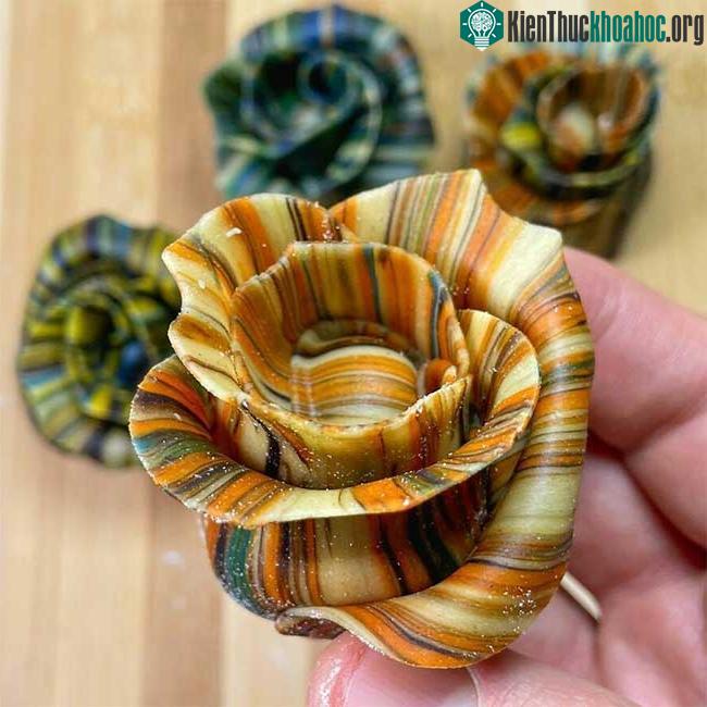 Những thiết kế mì ống độc đáo.