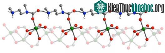 Cấu trúc nguyên tử của carbon dioxide được hấp thụ được chèn vào giữa các nhóm mangan