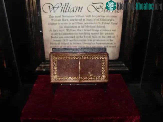 Bảo tàng William Burke chỉ là một bao da nhỏ