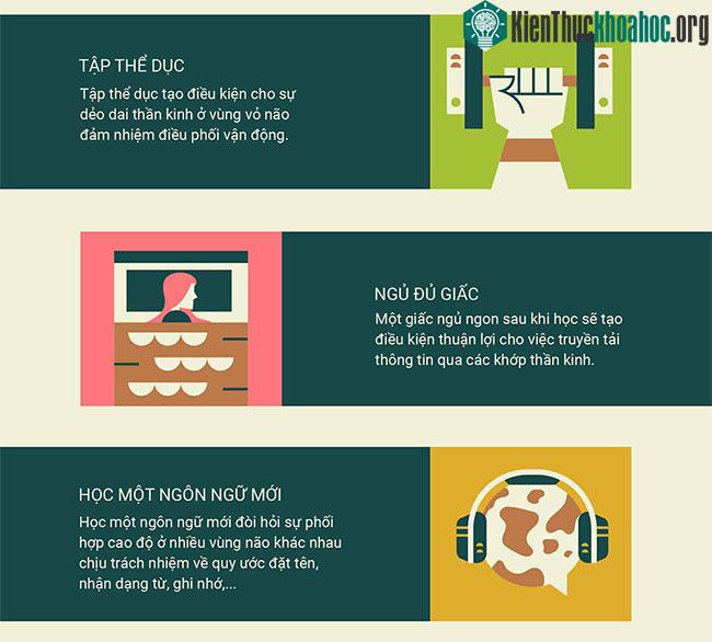 Làm thế nào để bộ não hình thành một thói quen mới? ảnh 4