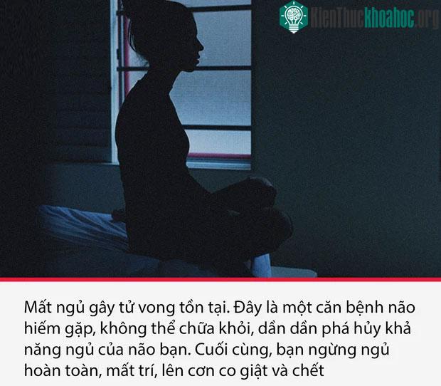 Top 15 sự thật thú vị nhưng vô cùng ám ảnh, thể hiện một góc khác của thực tại chúng ta sống ảnh 5