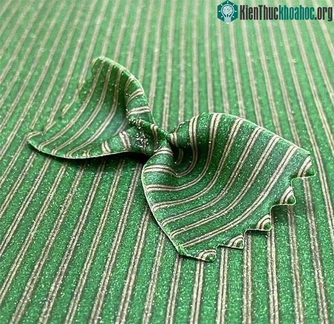 Độc lạ những thiết kế mì ống đẹp không nỡ ăn ảnh 6