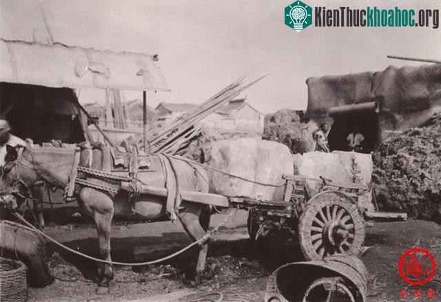Băng được vận chuyển ra khỏi kho trữ trong mùa hè.