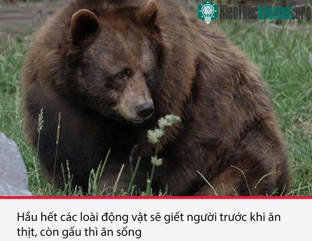 Top 15 sự thật thú vị nhưng vô cùng ám ảnh, thể hiện một góc khác của thực tại chúng ta sống ảnh 8