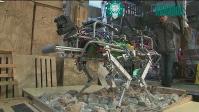 Ảnh Italy phát triển loại robot bốn chân cho các vùng bị thảm họa