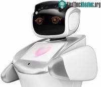 Ảnh Robot sân bay biết nói 28 thứ tiếng và truy tìm tội phạm