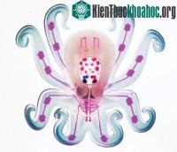 Ảnh Robot bằng silicone dẻo hoạt động không cần pin