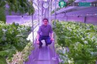 Ảnh Vườn thủy canh, giải pháp cho tình trạng thiếu lương thực ở Bắc Cực