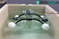 Ảnh Robot có thể ăn để lấy năng lượng như con người