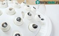 Ảnh Công nghệ biến rác thải nhựa thành nấm ăn được