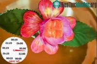 Ảnh Phát triển thành công vật liệu có thể tự biến hình