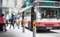 Ảnh Singapore sắp thử nghiệm xe bus tự lái