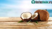 Ảnh Nhà làm từ quả dừa sẽ giúp con người giảm mối lo về thảm họa thiên tai