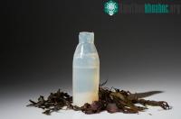 Ảnh Ý tưởng chai nước làm từ thạch, phân hủy ngay sau khi sử dụng