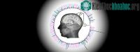 Ảnh Máy tính đã có thể đọc được suy nghĩ con người gần như theo thời gian thực