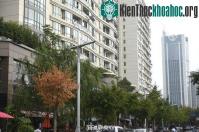 Ảnh Trung Quốc lắp đèn đường phát sóng wifi, sạc điện