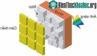 Ảnh Cảm biến thu nhận lượng ánh sáng nhiều gấp 3 lần bình thường