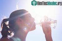 Ảnh Cách lọc nước ngọt từ nước biển đơn giản, rẻ và không dùng điện