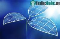 Ảnh Lá nhân tạo sản xuất xăng