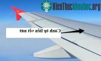Ảnh Máy bay tự liền cánh bị nứt