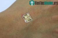 Ảnh Máy in 3D in được vật nhỏ hơn tế bào