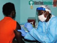 Ảnh Các nhà khoa học tìm ra "gót chân Achilles" của virus Ebola