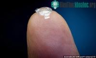 Ảnh Cấy ghép Bionic Lens giúp con người có siêu thị lực