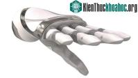 Ảnh Italy chế tạo thành công tay robot sinh học thế hệ mới cho người tàn tật
