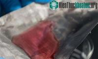 Ảnh Phát triển thành công lưới thép không gỉ cho nước chảy qua và giữ dầu ở lại