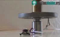 Ảnh Robot tí hon có khả năng kéo vật nặng gấp 100 lần cơ thể