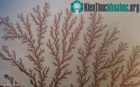 Ảnh Chất điện phân mới giúp loại bỏ hiện tượng đoản mạch pin Li-ion