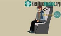 Ảnh Sáng chế giúp khách dễ ngủ trên máy bay