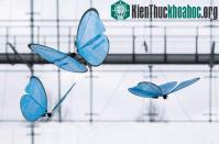 Ảnh Đức chế tạo thành công robot bướm giống như thật