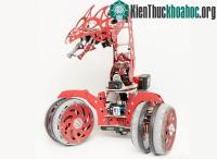 Ảnh Trình làng robot có thể học tập như não người