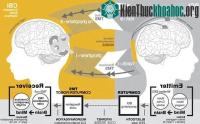 Ảnh Khả năng “thần giao cách cảm” không còn quá xa vời