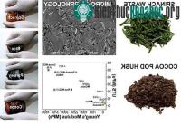 Ảnh Nhựa tự hủy chế từ vỏ trấu